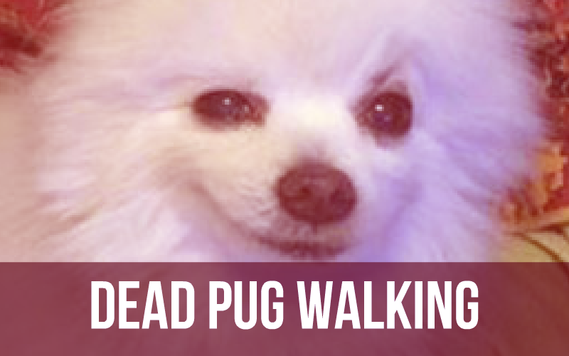 Dead Pug Walking